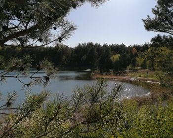 Maršruts 