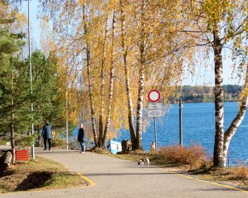 Backyard ultra pasaules čempionāta satelītsacensības, 19.-20.10.2024.