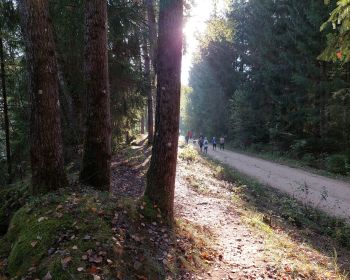 #BeActive Eiropas Sporta nedēļa Jēkabpils novadā, 23.-30.09.2024.
