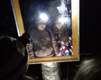 Brūnās dāmas mistērija Jēkabpils Mežaparkā, 31.10.2022.