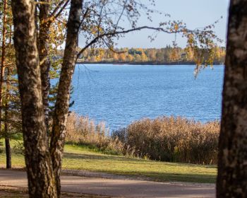 Backyard ultra pasaules čempionāta satelītsacensības, 19.-20.10.2024.