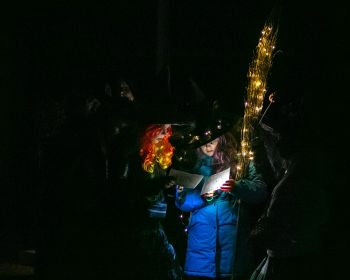 Brūnās dāmas mistērija Jēkabpils Mežaparkā, 31.10.2022.