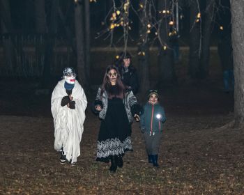 Brūnās dāmas mistērija Jēkabpils Mežaparkā, 31.10.2022.