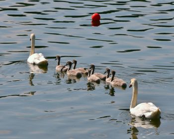  Radžu ūdenskrātuves sezonas atklāšanas sacensības pludiņmakšķerēšanā un spiningošanā
