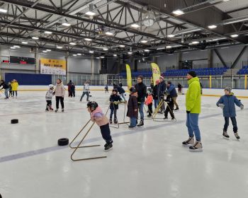 Ģimeņu sportiskais izaicinājums | Spēles uz ledus