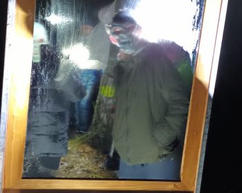 Brūnās dāmas mistērija Jēkabpils Mežaparkā, 31.10.2022.