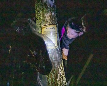 Spoku stāsti Jēkabpils Mežaparkā, 31.10.2023.