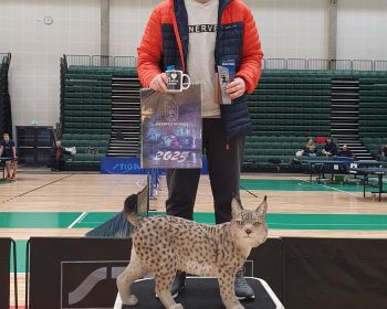 52. Jēkabpils novada atklātais čempionāts galda tenisā, 16.02.2025.
