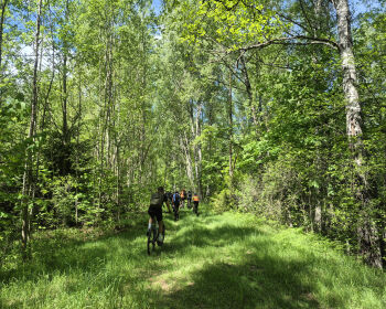 Velobrauciens apkārt Saukas ezeram, 23.05.2026.