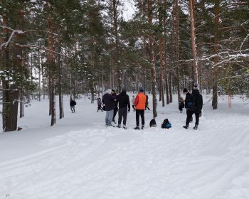 Disku golfa sacensības 