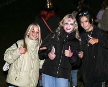 Brūnās dāmas mistērija Jēkabpils Mežaparkā, 31.10.2022.