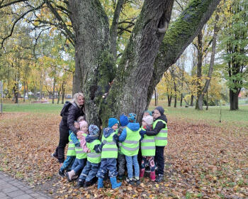 3 km un uzdevumi dabā, 12.-18.10.2026.