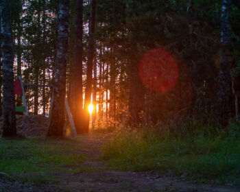 Saulgriežu skrējiens Jēkabpils Mežaparkā, 20.06.2025.