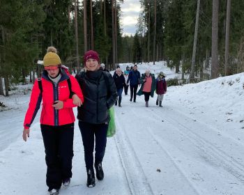 Pārgājiens 