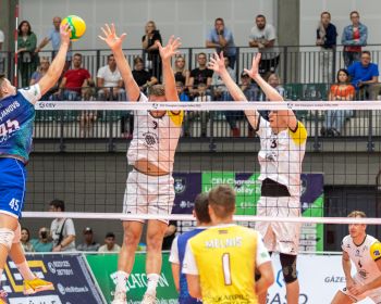 CEV Čempionu līga volejbolā: 