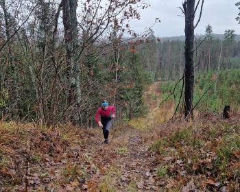 Skrējiens Latvijai pie vecās Sūnu skolas, 16.11.2024.
