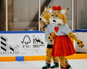 Randiņš slidotavā, 14.02.2024. 