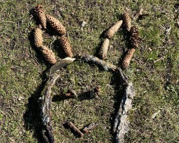 Lieldienu spēle Zasas muižas parkā, 15.-18.04.2022.