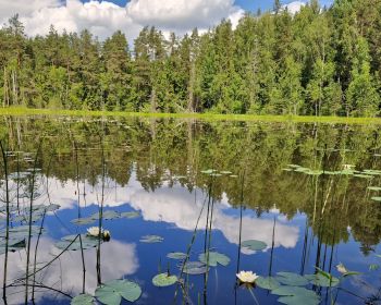 Pārgājiens ģimenēm Kalna pagastā, 16.06.2024.