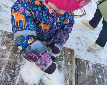 Ģimeņu sportiskais izaicinājums | Ziemas prieki Jēkabpils Mežaparkā, 9.02.2025.