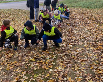 3 km un uzdevumi dabā, 12.-18.10.2026.