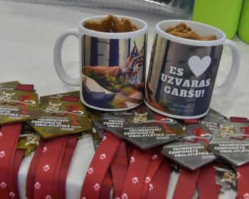 Jēkabpils novada atklātais vecmeistaru čempionāts vieglatlētikā telpās, 4.01.2025.