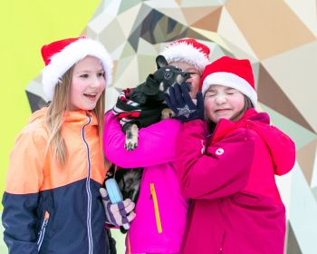 Vecgada skrējiens kopā ar Tomasu, 31.12.2022.