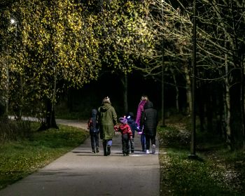 Brūnās dāmas mistērija Jēkabpils Mežaparkā, 31.10.2022.