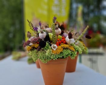 Sporta svētku apbalvošana, 10.08.2024.