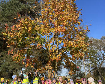 3 km un uzdevumi dabā, 12.-18.10.2026.