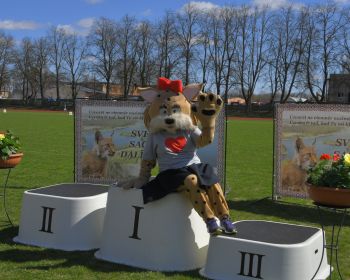 31. Jēkabpils novada atklātais čempionāts vieglatlētikā pieaugušajiem un U-16, 30.04.2022.