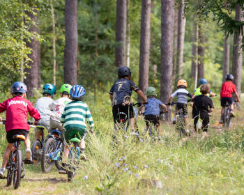 Jēkabpils Sporta svētki 2026, 8.08.2026.