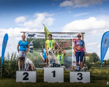 IV Latvijas čempionāts kanikrosā  ar šķēršļiem