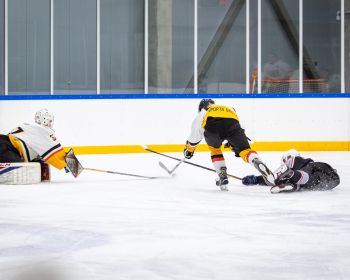JAHL: 