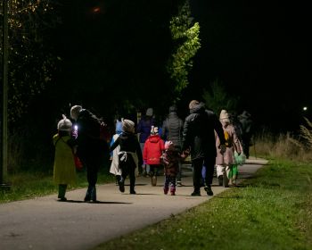 Brūnās dāmas mistērija Jēkabpils Mežaparkā, 31.10.2022.