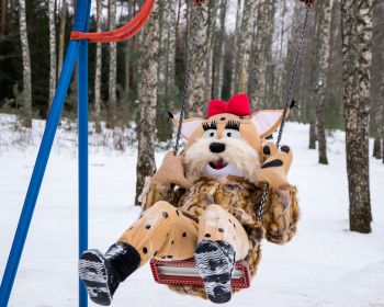 Lūsijas piedzīvojumi Jēkabpils Mežaparkā, 19.01.2021.
