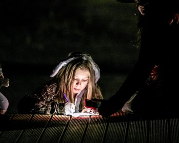 Brūnās dāmas mistērija Jēkabpils Mežaparkā, 31.10.2022.