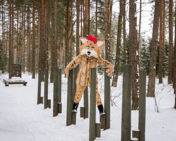 Lūsijas piedzīvojumi Jēkabpils Mežaparkā, 19.01.2021.