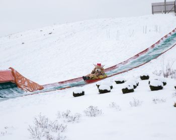 Lūsijas piedzīvojumi Jēkabpils Mežaparkā, 19.01.2021.