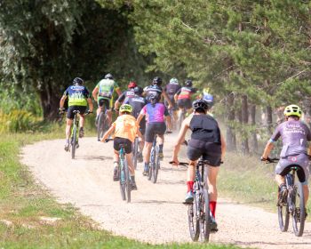 Sporta svētki Jēkabpilī 2024, 10.08.2024. 
