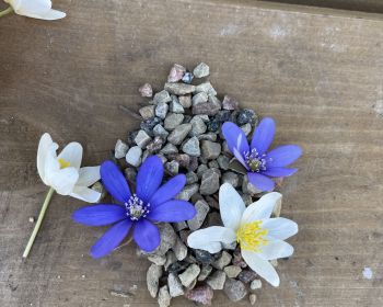 Lieldienu spēle Zasas muižas parkā, 15.-18.04.2022.