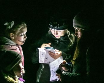 Brūnās dāmas mistērija Jēkabpils Mežaparkā, 31.10.2022.