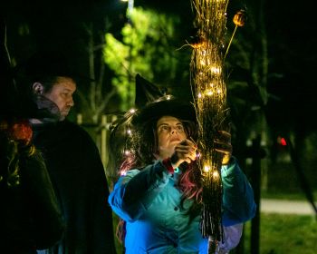 Brūnās dāmas mistērija Jēkabpils Mežaparkā, 31.10.2022.