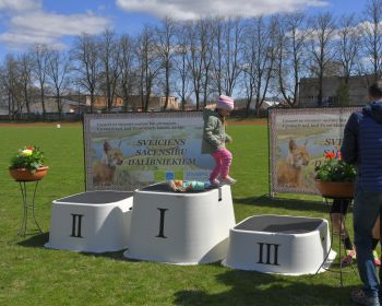 31. Jēkabpils novada atklātais čempionāts vieglatlētikā pieaugušajiem un U-16, 30.04.2022.