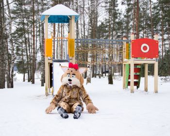 Lūsijas piedzīvojumi Jēkabpils Mežaparkā, 19.01.2021.