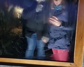 Brūnās dāmas mistērija Jēkabpils Mežaparkā, 31.10.2022.