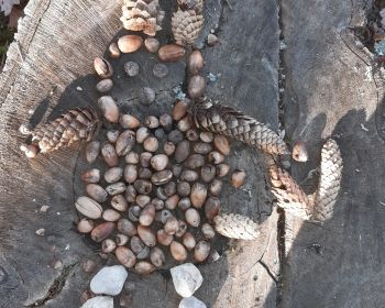 Lieldienu spēle Zasas muižas parkā, 15.-18.04.2022.