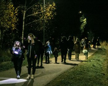 Brūnās dāmas mistērija Jēkabpils Mežaparkā, 31.10.2022.