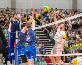 CEV Čempionu līga volejbolā: 