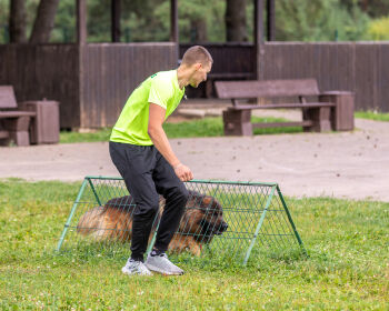 Jēkabpils Sporta svētki 2026, 8.08.2026.